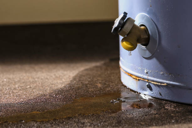 Best Water damage restoration process  in Deltona, FL