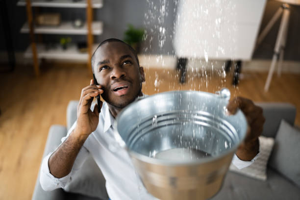 Best Local water damage restoration  in Deltona, FL