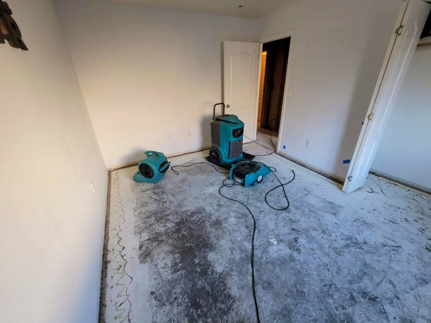 Water damage restoration experts in Deltona, FL