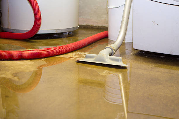 Best Fire Damage Restoration  in Deltona, FL
