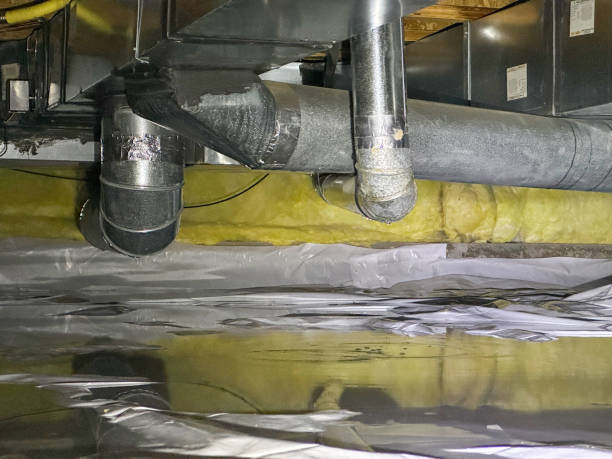 Best Sewage cleanup and water damage restoration  in Deltona, FL