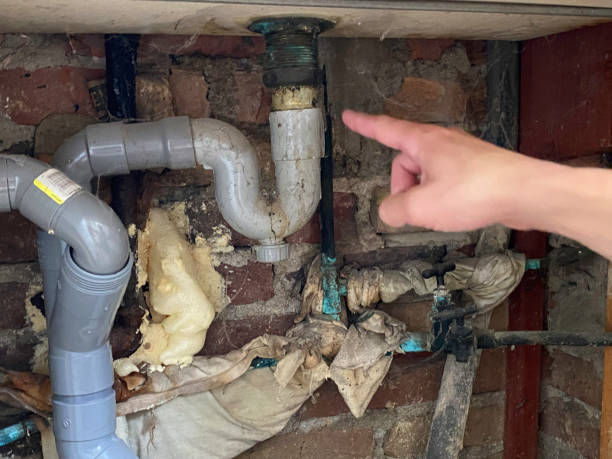  Deltona, FL Water damage restoration Pros