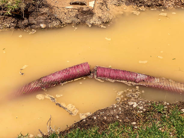 Best 24-hour water damage restoration  in Deltona, FL