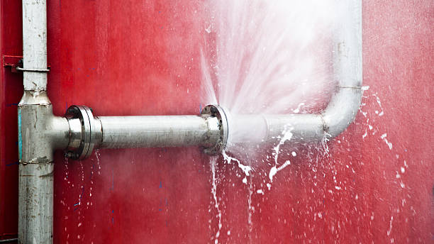 Best Water damage contractors near me  in Deltona, FL