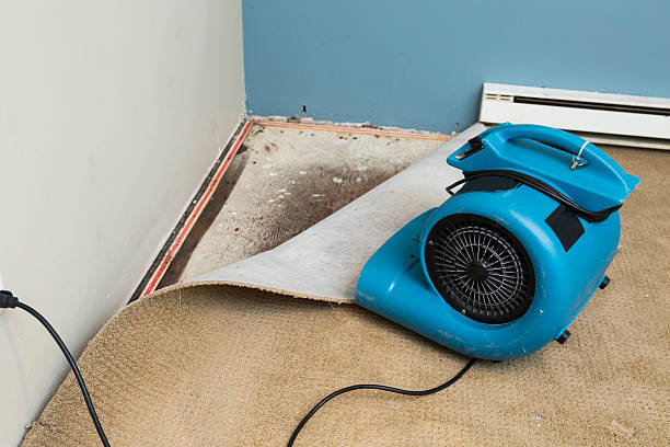 Water damage restoration process in Deltona, FL